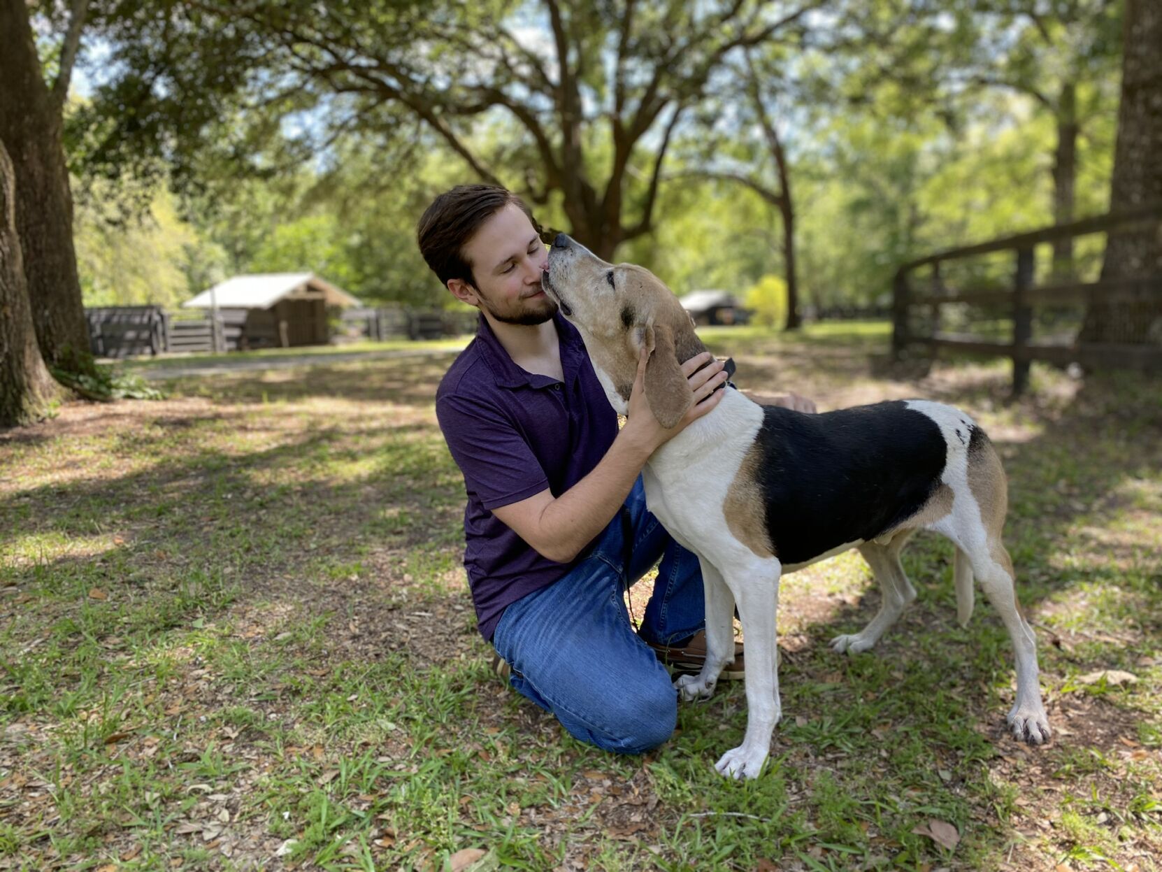 Family Pet Pros and Cons - Chief
